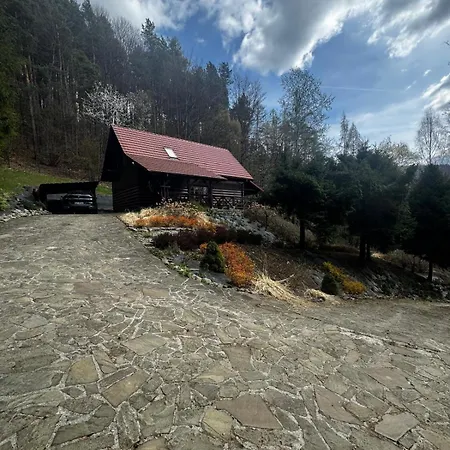 Вилла Riviera Мендзыбродзе-Живецке