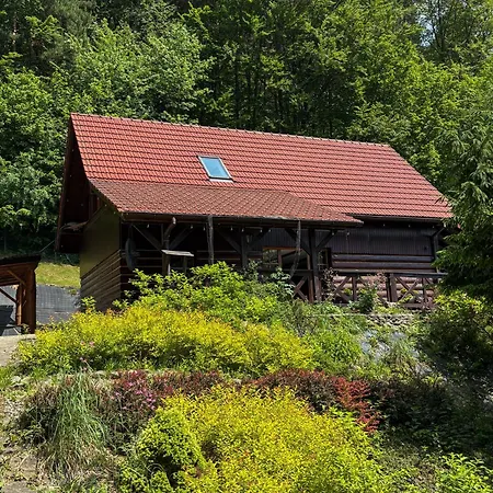 Hacienda Villa Miedzybrodzie Zywieckie